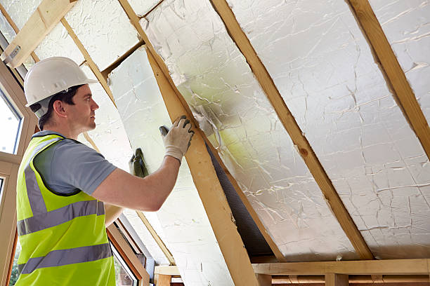Best Insulation Installation Services in Bray, OK