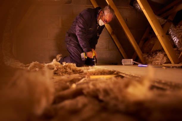 Best Insulation Installation Services in Bray, OK